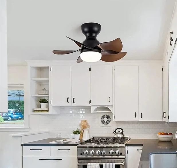 Small Ceiling Fan with Light