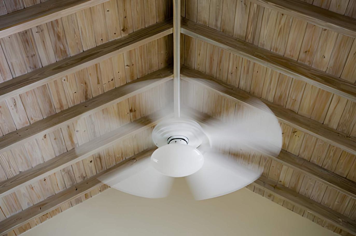 Ceiling Fan Direction Avoid the #1 Mistake That’s Costing You Money (2)